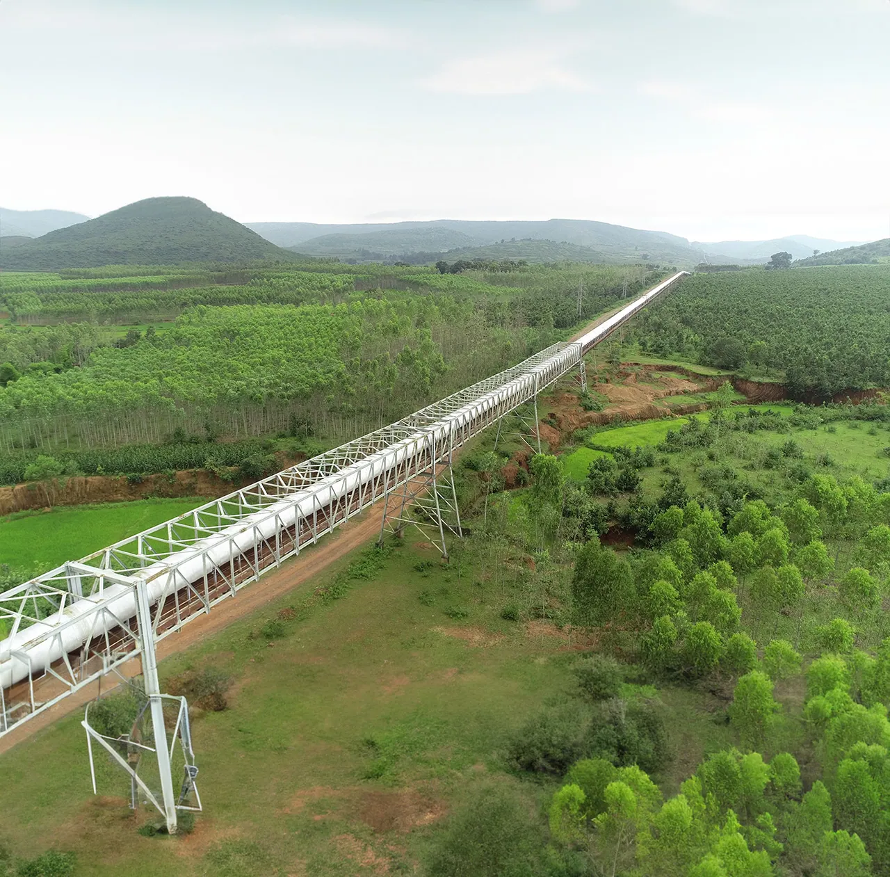 Rooted in sustainability Rooted in sustainability